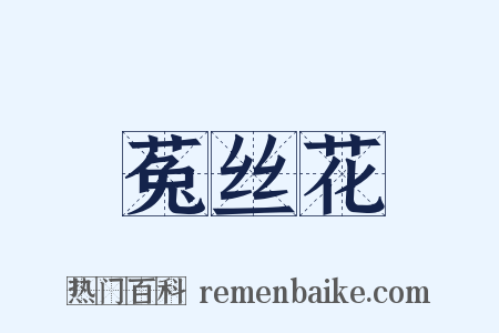 菟丝花是什么意思的图片